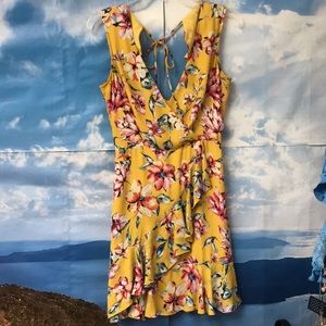 Cactus + clover dress